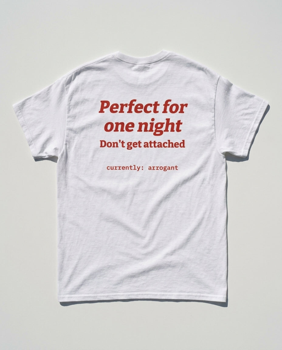 N°006 - PERFECT FOR ONE NIGHT. DON'T GET ATTACHED