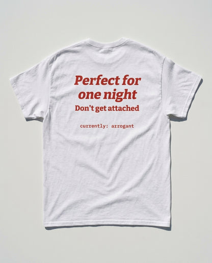 N°006 - PERFECT FOR ONE NIGHT. DON'T GET ATTACHED
