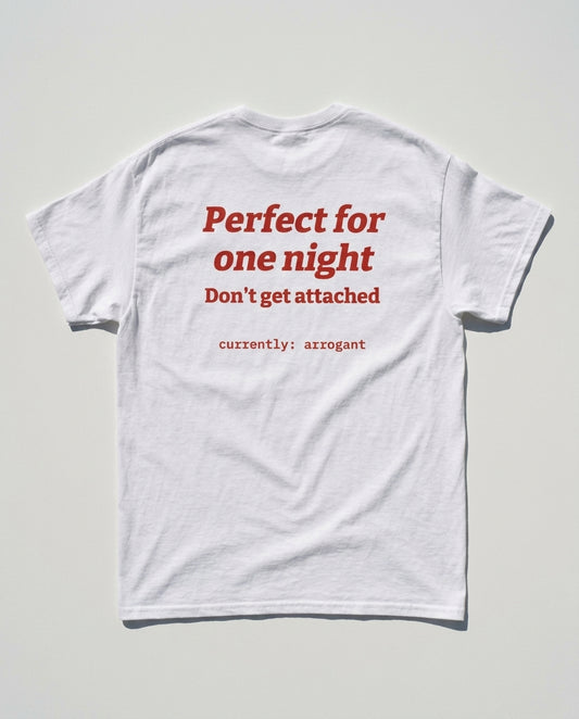 N°006 - PERFECT FOR ONE NIGHT. DON'T GET ATTACHED