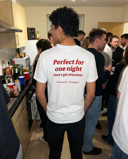 N°006 - PERFECT FOR ONE NIGHT. DON'T GET ATTACHED